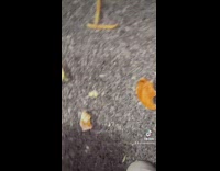 Guy drops fries spells out i love your boobies 