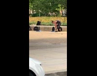 Guy lifts weights outside park grey shirt
