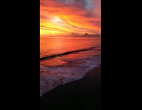 Collab PubityPets - Tahiti French Polynesia Beach Sunset Drone Compilation