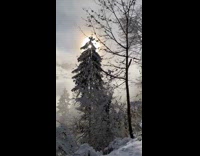 Scenery view of a mountainside covered by snow and low flying clouds 
