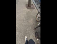 Blue citi bike stuck on tree