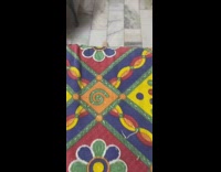 White cat jumps red blue yellow blanket 