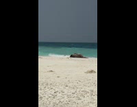 Woman blue bikini lay down raise feet beach Part 2