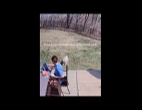 Dog barks at hooman demanding to play