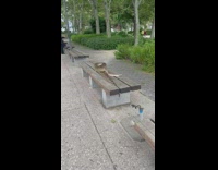 Long brown python snake on park bench 