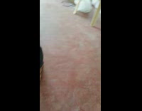 Collab DailyDoseOfInternet - White shirt guy sharpens knife sword rock 