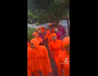Collab BoysIG - Group of women in Lorax costume parade