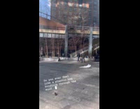 Plastic bag circles and drift to wind