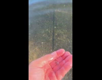 Man makes dad joke about spring water