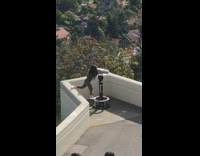 Green leggings girl looks through telescope 