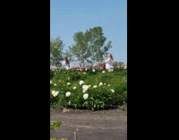 Woman white dress poses at the garden