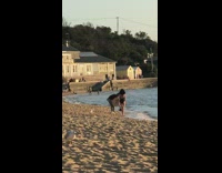 girl beach walking with hat video