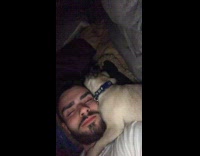Pug gives dad cuddles while he sleeps 