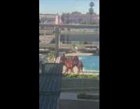 Four people in red shorts tiktok dance poolside