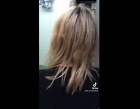 Chicken eats giant spider on wall