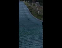 Two guys sit ride skateboard down asphalt 