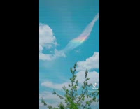Guy admires rainbow inside of cloud