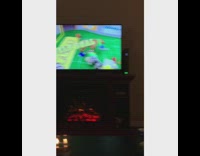 dog sitting like human watching dog show