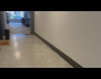 Collab BitchMP - White dog lost in apartment hallway wrong floor 