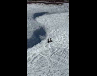 Woman in bikini poses at snowy mountains