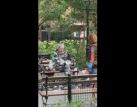 Old man on bench covered and surrounded by pigeons while they eat bread crumbs on the ground