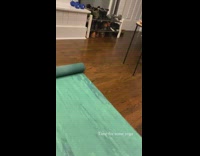 Fluffy Grey Cat Stretches on Green Yoga Mat 