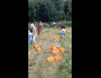Woman brown outfit spread arms on the pumpkin farm