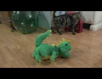 Cat knock over slap green dragon plushy