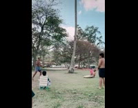 Guy throws beanbag at guys crotch through cornhole