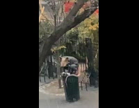 Girl looks out window sees rat guy 