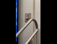 Small teddy bear display on subway wall