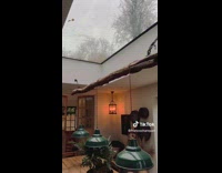 Rainy Afternoon at Home Under Skylight Window