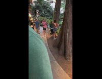 Girl brown top hand on hips tree