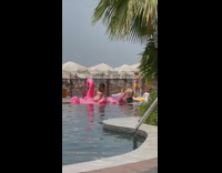 2 women pose on inflatable animals 