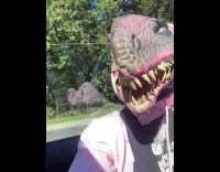 Woman wears dinosaur costume with eyelashes 