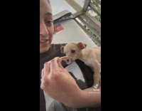 Girl feeds random dog she found chicken 