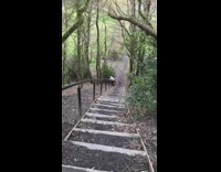 White sweater guy slides down stair railing