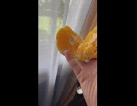 Orange sliced and opened with a small orange inside