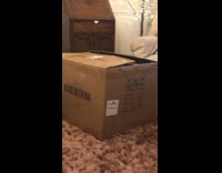 Collab DailyDoseOfInternet - Dog in cardboard box scares white dog 