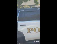 Dog found and arrested in back of police cruiser 