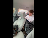 Dogs steals hoomans boyfriends seat 