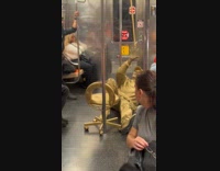 Gold man mime performs on train ride