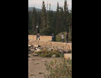 Guy black pants hat handstand ledge bridge