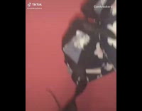 Girl finds dead mouse in bra strap