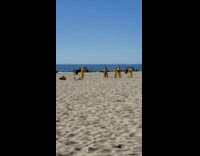 Band yellow hazmat suit play instruments beach