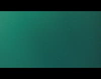 Guy swims in ocean water with dolphins 