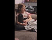 Toddler cuddling with pug on couch watching tv