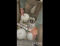 Fall date night idea bestie edition