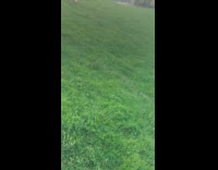 Collab scorpionmasters - Girl run down the hill and fell