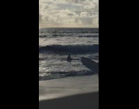 Collab Kook Of The Day - Guy Rides White Board With No Fins